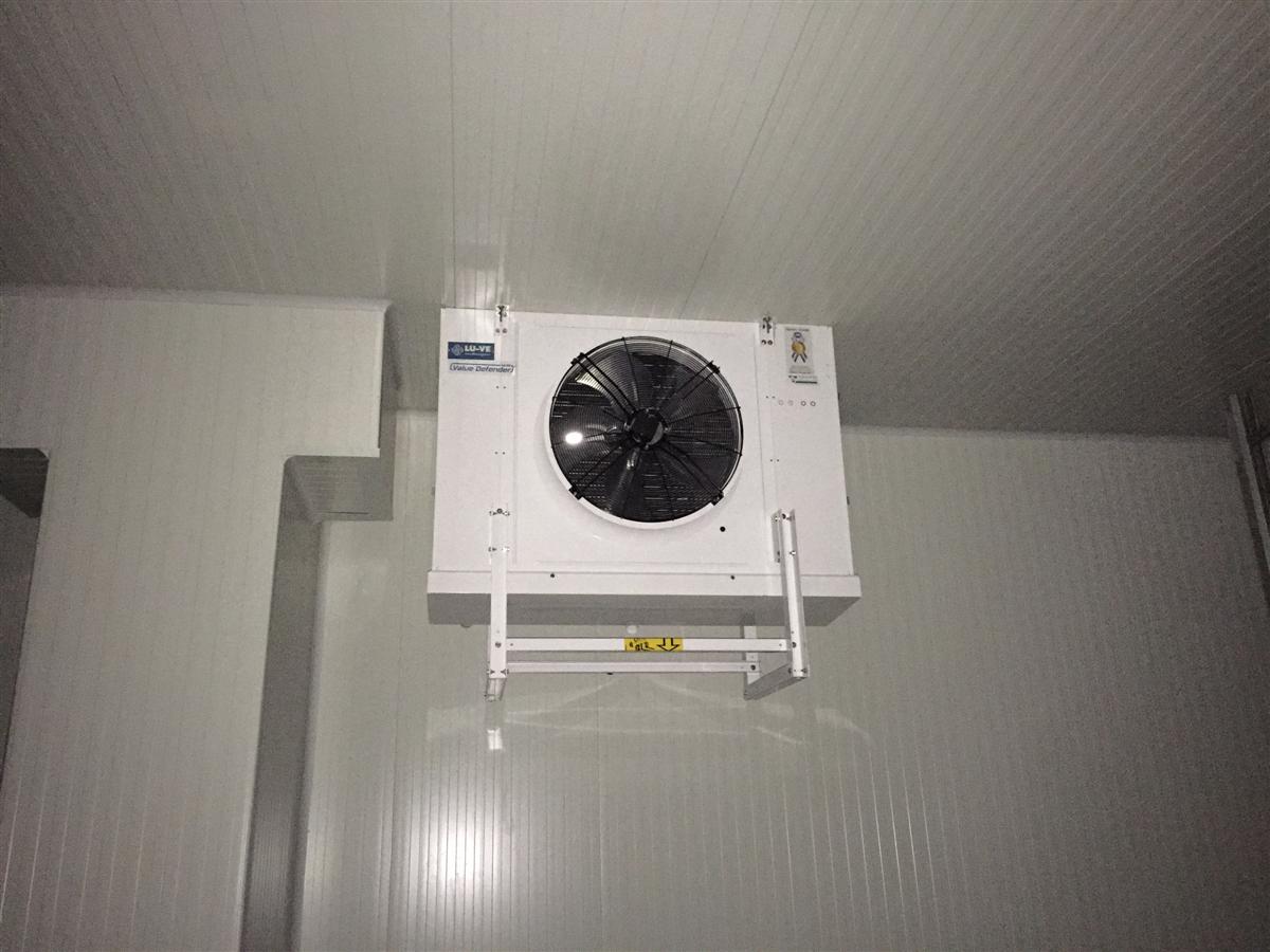 Cella di conservazione 03